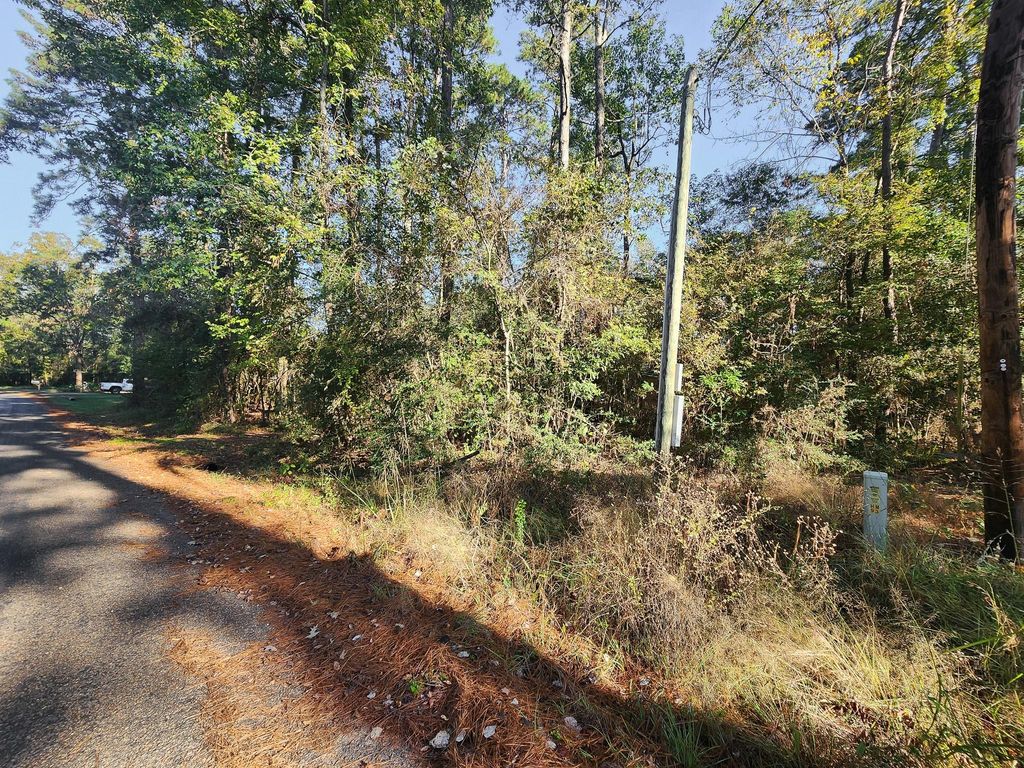 Photo of 145 Dancing Flame, Livingston, TX 77351 (MLS # 56128869)