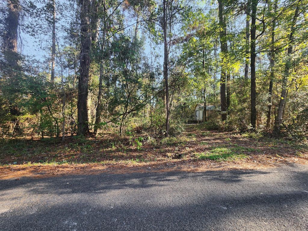 Photo of 145 Dancing Flame, Livingston, TX 77351 (MLS # 56128869)