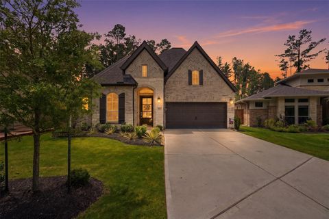Photo of 112 Pineview Cove Court, Montgomery, TX 77316 (MLS # 45545485)