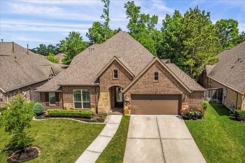23411 Elmwood Bend Lane New Caney TX 77357