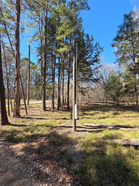 Photo of 750 Morris Creek Road, Coldspring, TX 77331 (MLS # 74422144)
