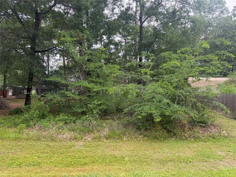 Photo of 125 Trinidad Lane, Point Blank, TX 77364 (MLS # 52460476)