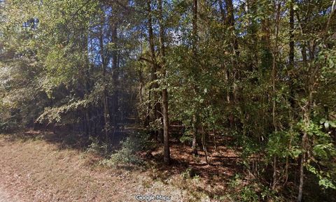 Photo of 0 Anglers Drive, Trinity, TX 75862 (MLS # 78093215)