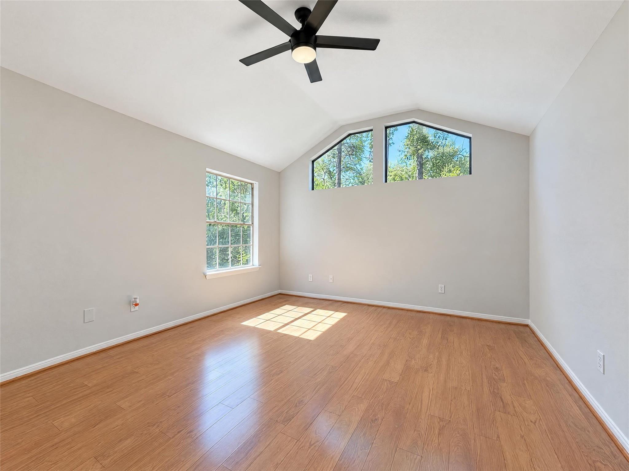 51 N Wilde Yaupon