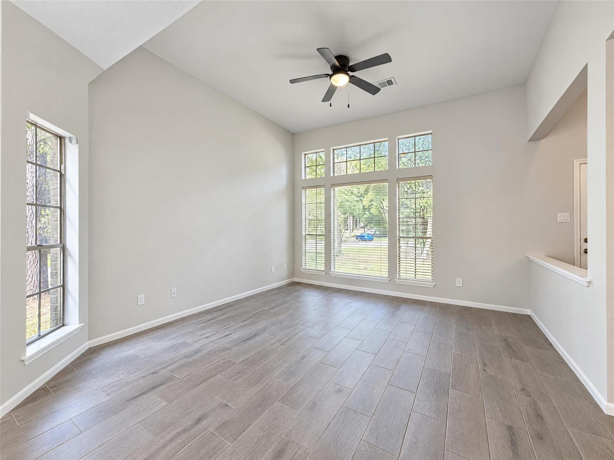 51 N Wilde Yaupon