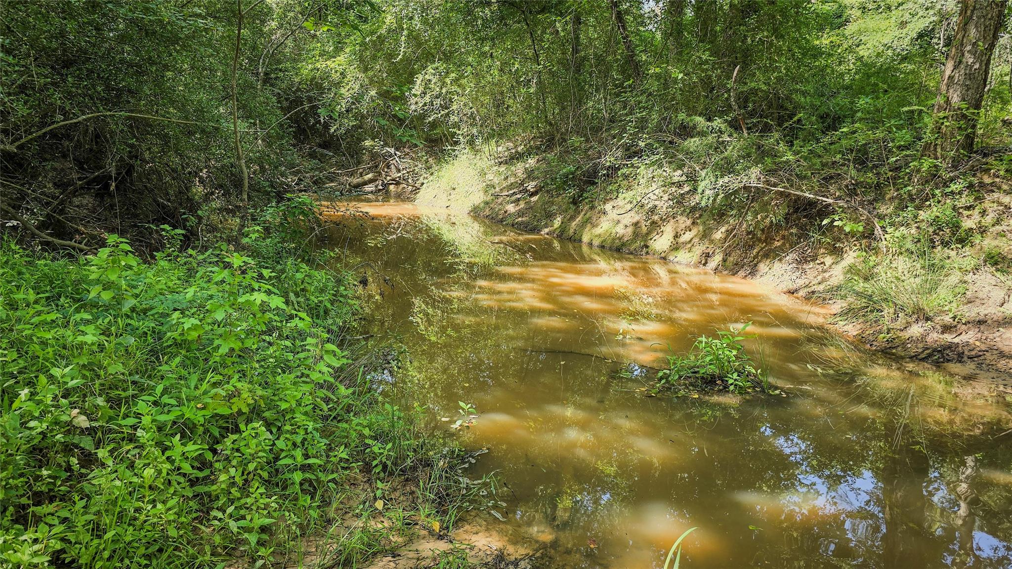 6454 E Us Highway 79