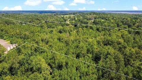 Vacant Land For Sale - TBD County Road 4090<br/> Tyler County, Woodville, TX 75979