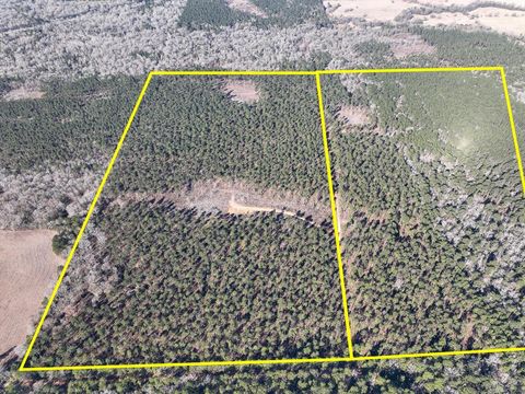 Vacant Land For Sale - 2 Louisville Road<br/> Pennington, TX 75845