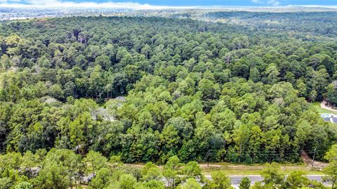 Photo of 16 Texas Grand Road, Huntsville, TX 77340 (MLS # 95871507)