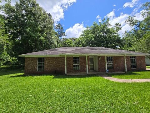 Homes For Sale - 509 Bobcat Lane<br/> Daisetta, TX 77533