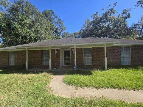 Photo of 509 Bobcat Lane, Daisetta, TX 77533 (MLS # 97060031)