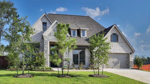 12584 Rosy Paintbrush Drive Conroe TX 77302