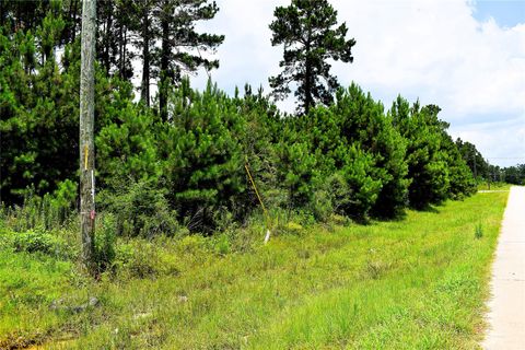 Photo of 238 County Road 3545, Cleveland, TX 77327 (MLS # 97912506)