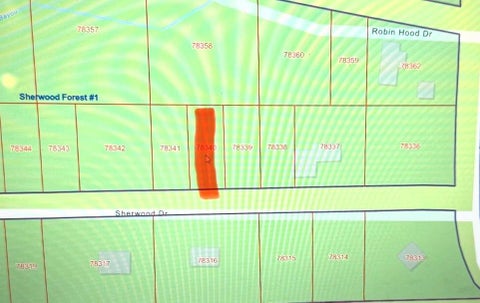 Vacant Land For Sale - TBD Sherwood Drive<br/> San Jacinto County, Shepherd, TX 77371