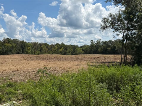 Vacant Land For Sale - 1575 Highway 96 S<br/> San Augustine, TX 75972
