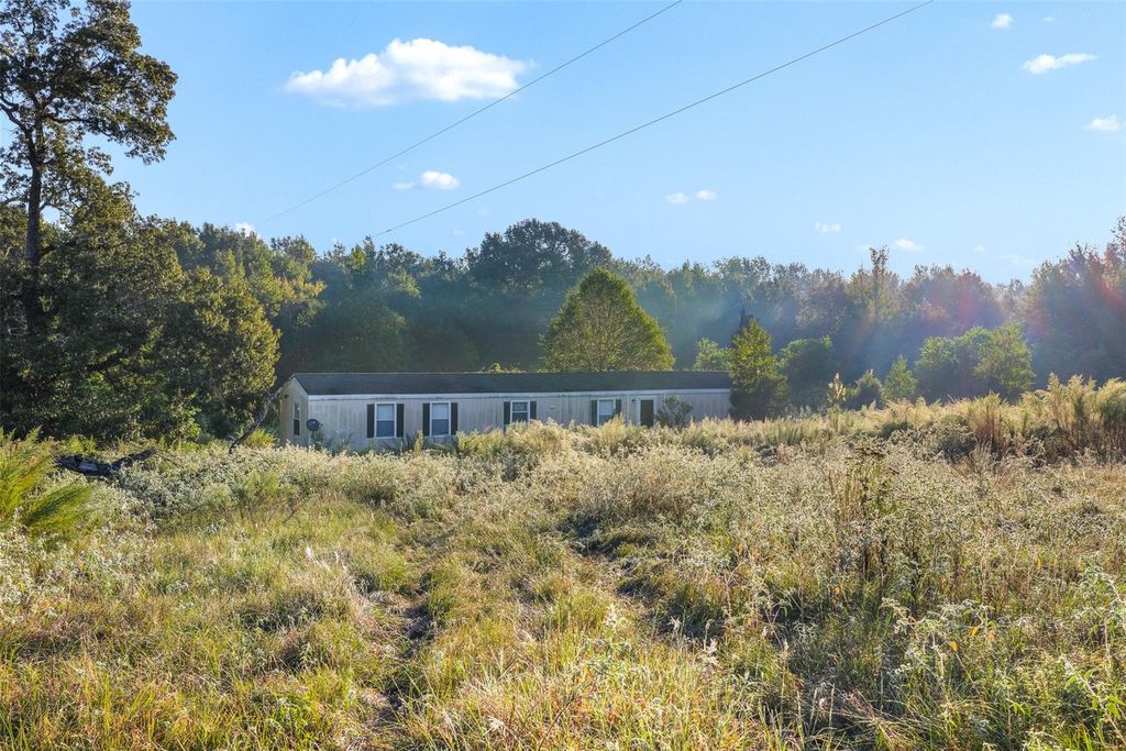 Photo of 8971 County Road 329, Buffalo, TX 75831 (MLS # 41555736)