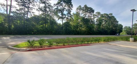 Photo of 15203 Bart Lake Road, Conroe, TX 77303 (MLS # 87855968)