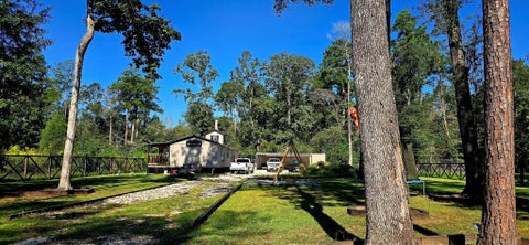 Photo of 137 Wild Oak Road, Shepherd, TX 77371 (MLS # 56987922)