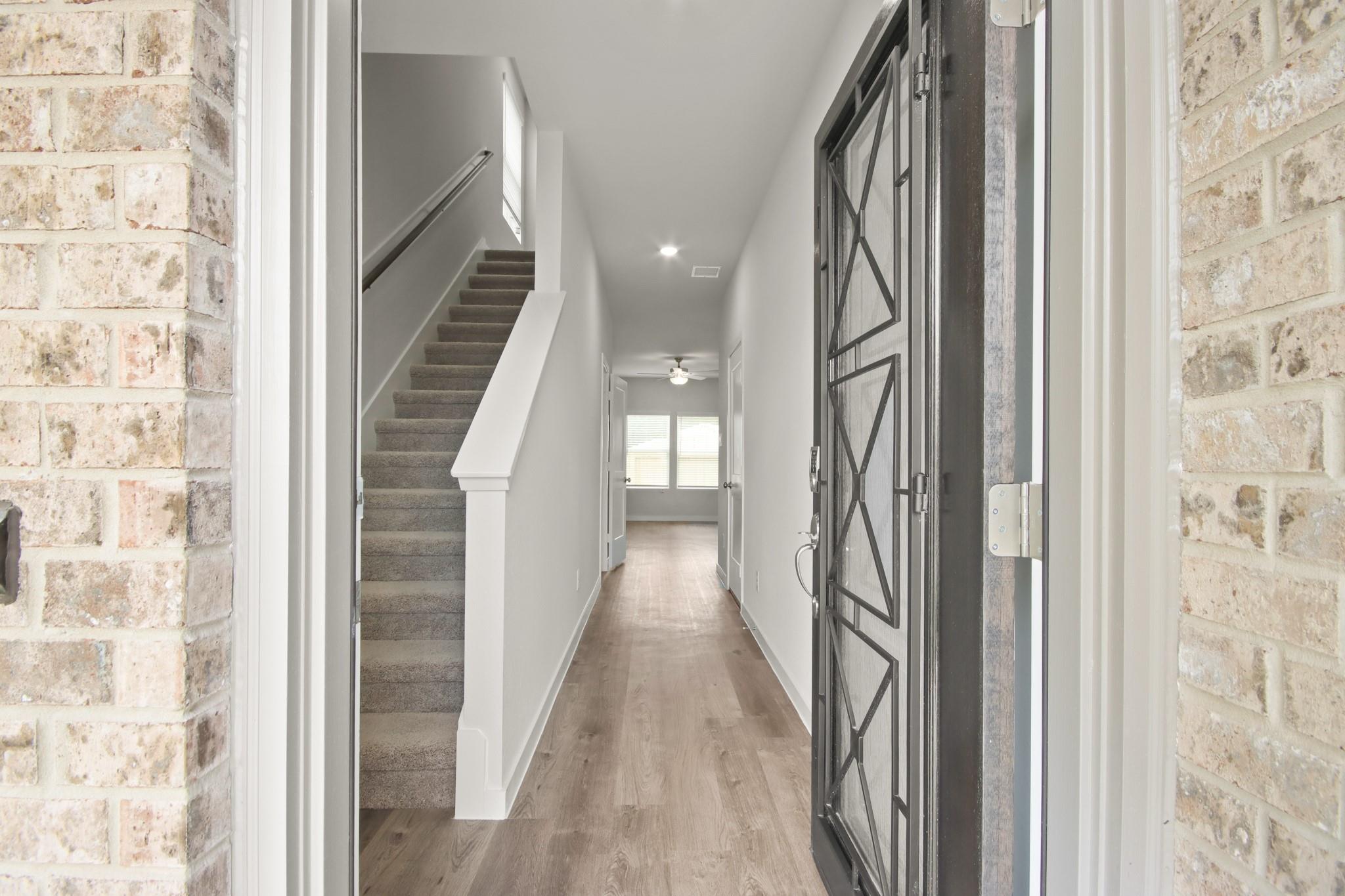 26247 Venus Trap Trail