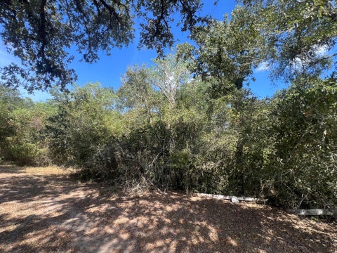 Photo of 0 West Seventh At Ave I Street, Sheridan, TX 77475 (MLS # 85933650)