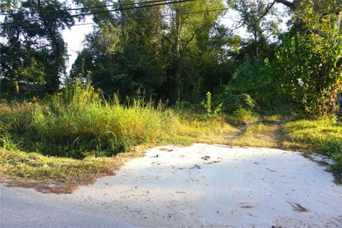 Photo of 1311 De Soto Street, Houston, TX 77091 (MLS # 98222909)