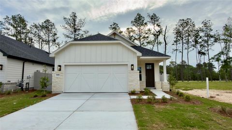 Photo of 11415 Mandolin Drive, Montgomery, TX 77316 (MLS # 43336039)