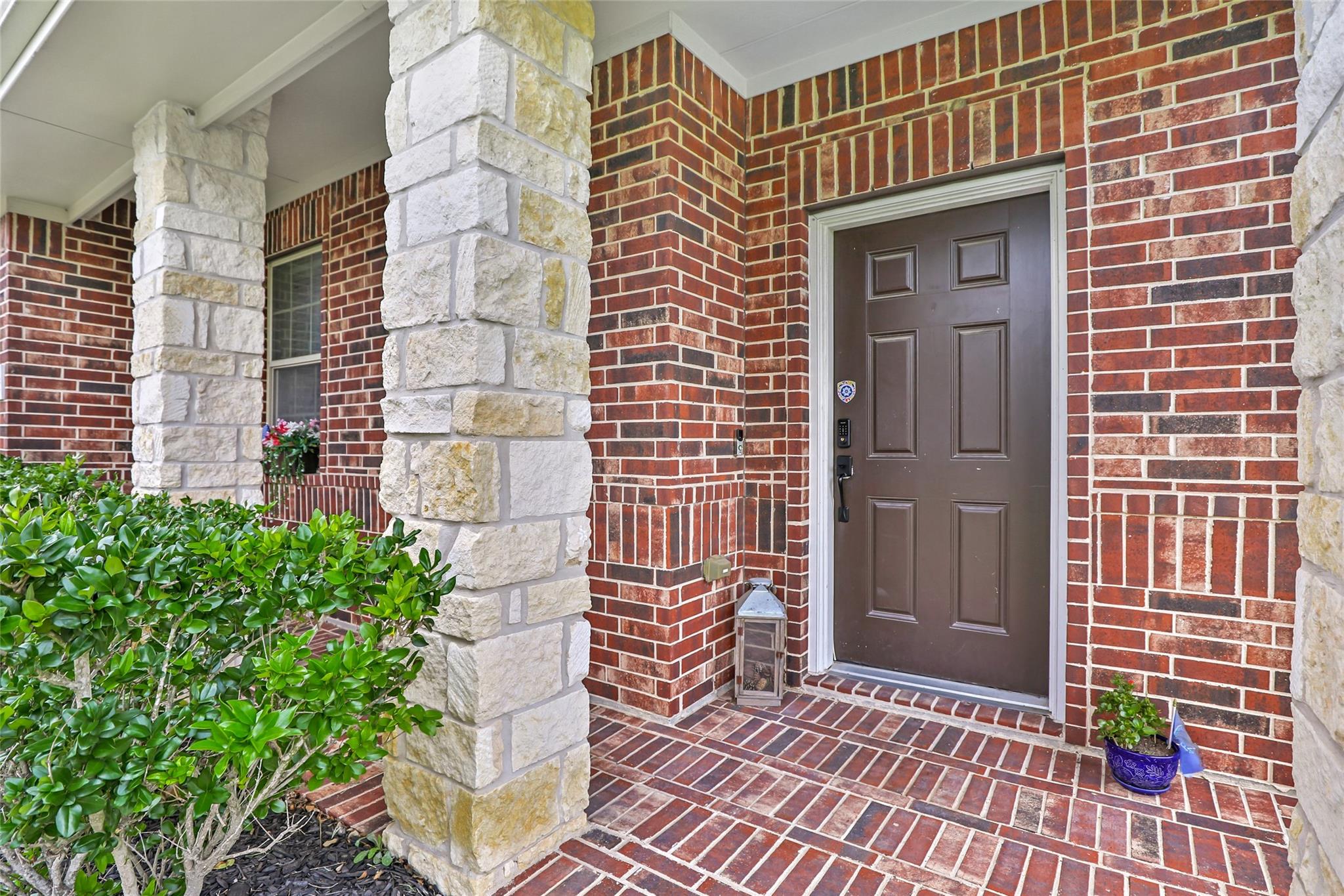 13602 Kodiak Brown Bear Street