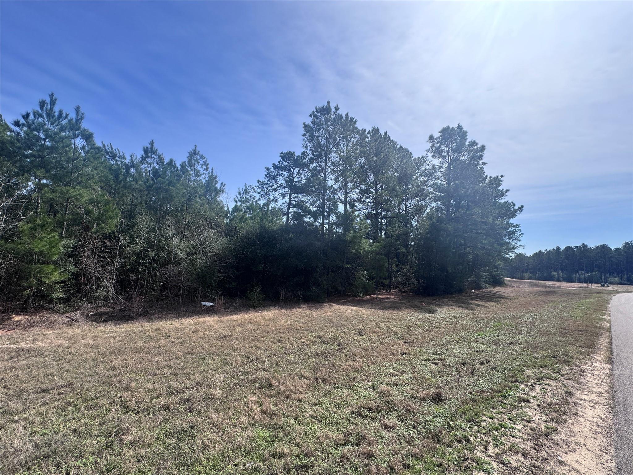 15576 Forest Grove Drive