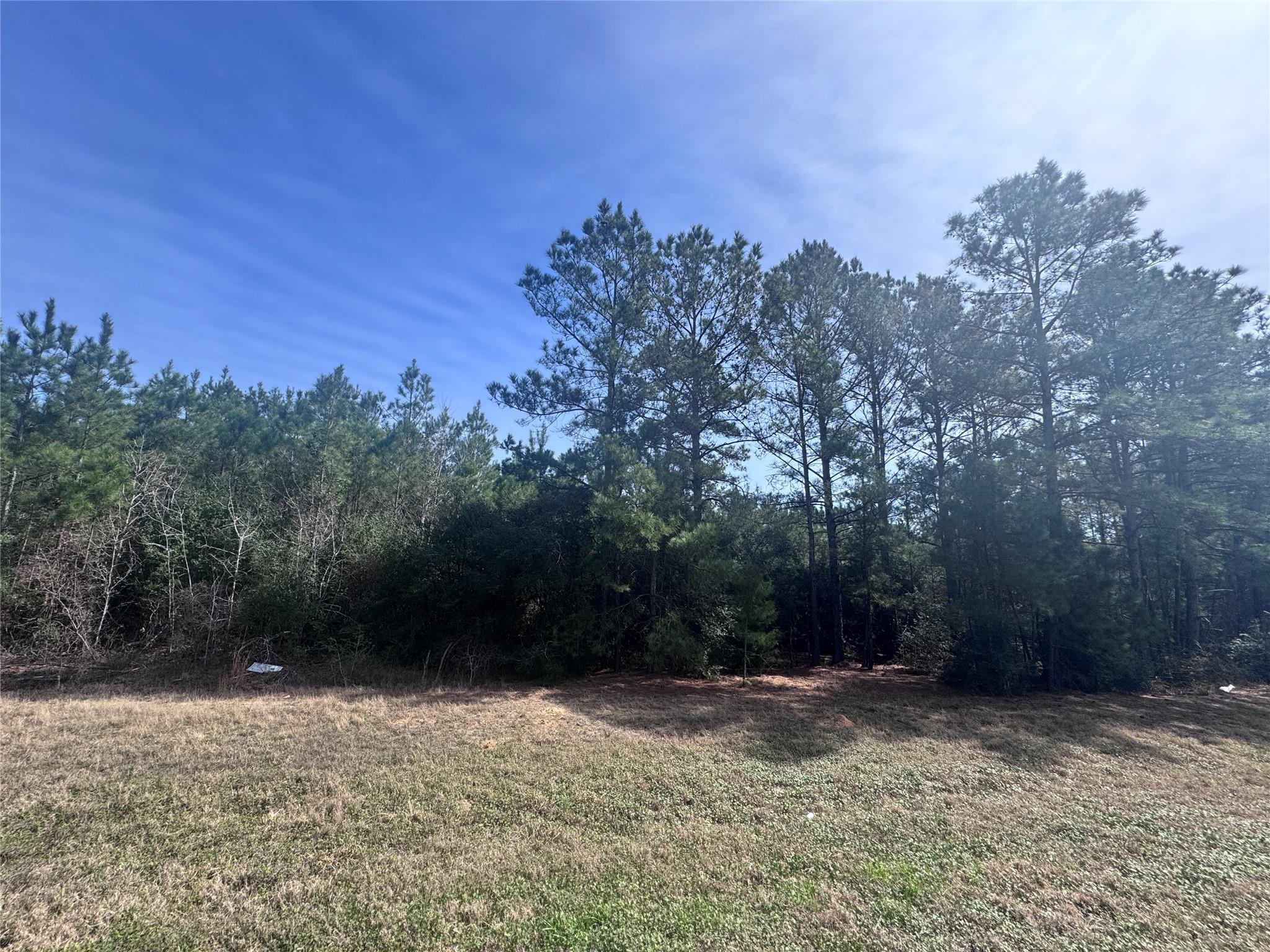 15576 Forest Grove Drive