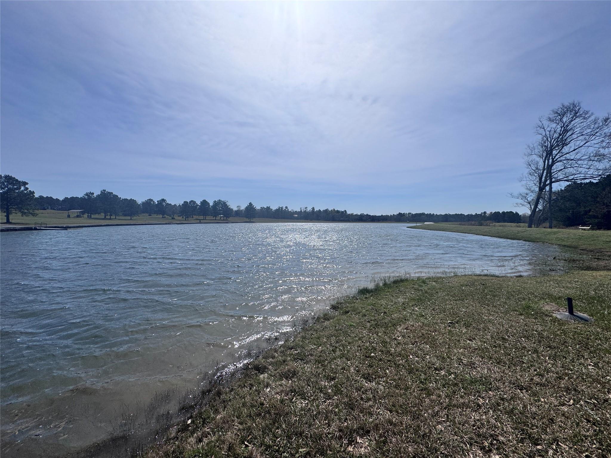 15576 Forest Grove Drive