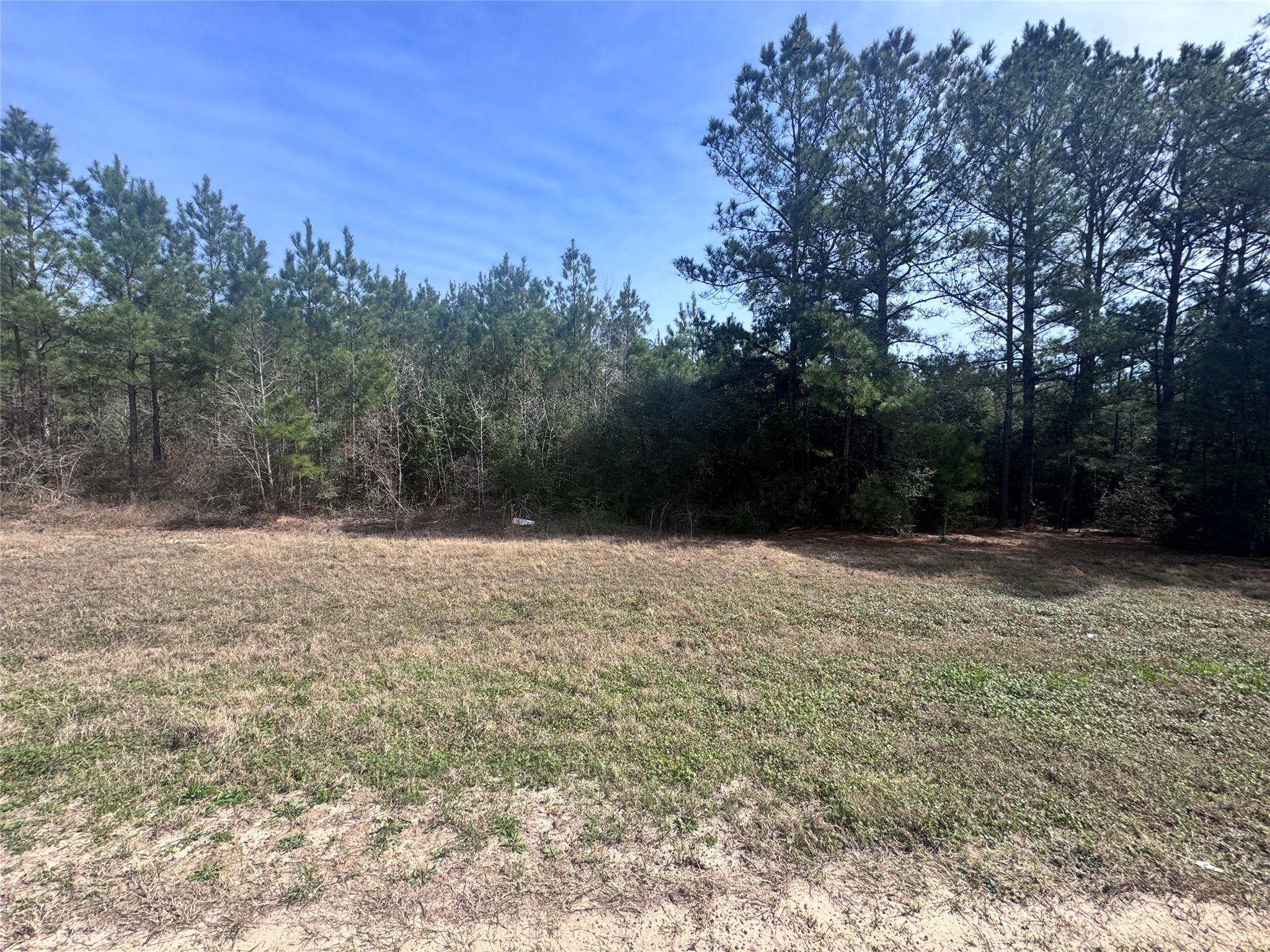 15576 Forest Grove Drive