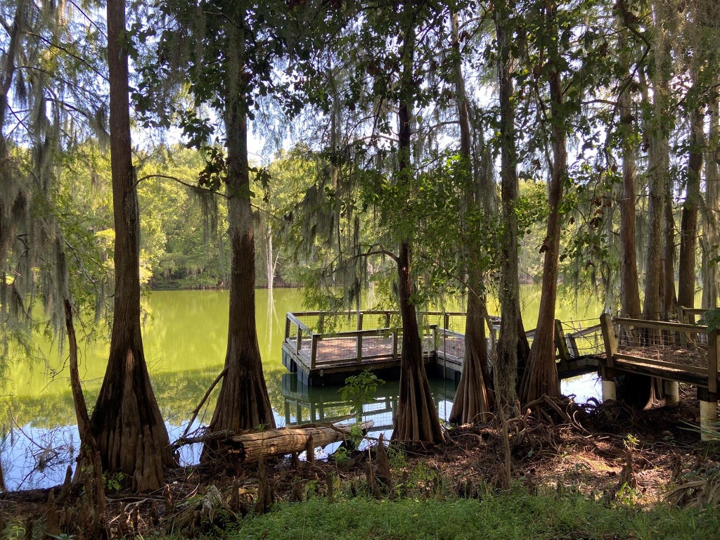 Photo of 239 Ferguson Drive, Cleveland, TX 77327 (MLS # 67285356)
