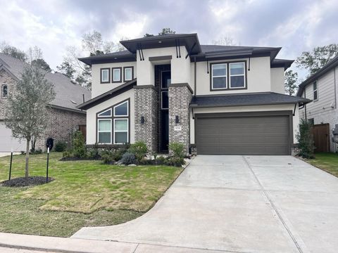 Photo of 8274 Boundary Waters Drive, Porter, TX 77365 (MLS # 78634017)