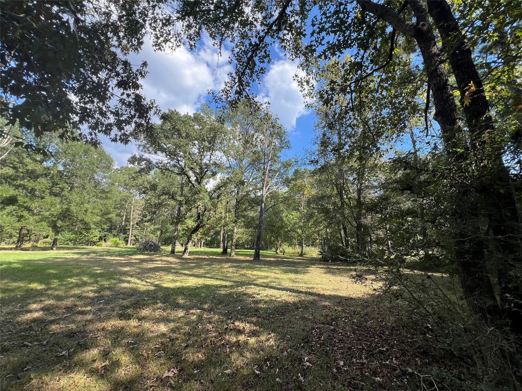 Photo of 13203 Park Avenue, Conroe, TX 77384 (MLS # 2043287)