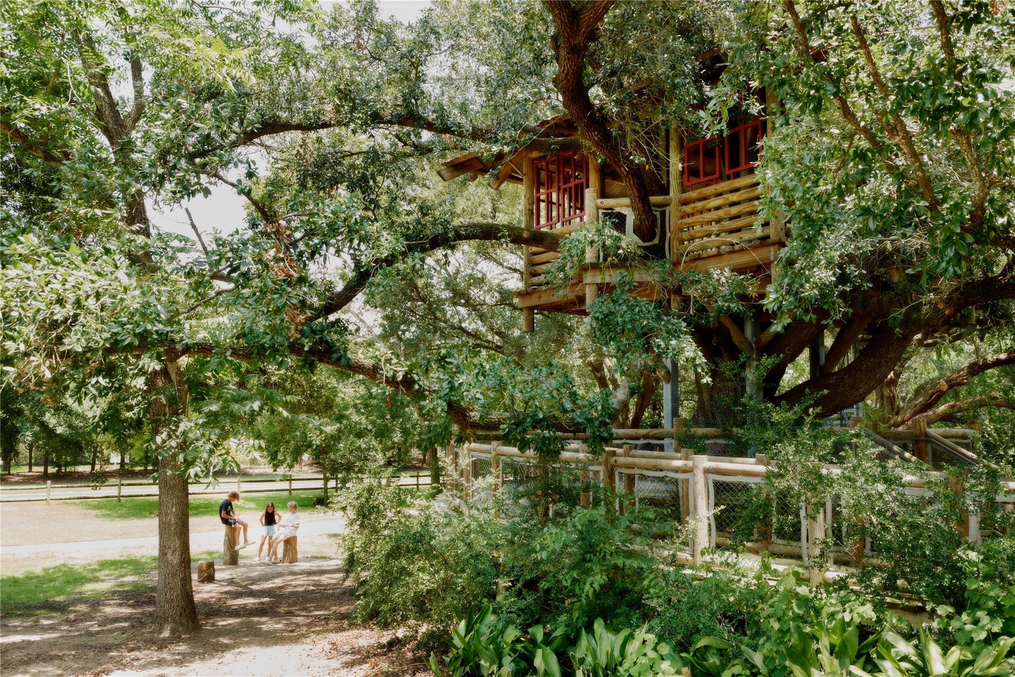 21910 Mesquite Woodlands Lane