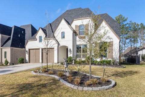 Photo of 208 S Empress Green Place, Montgomery, TX 77316 (MLS # 45049449)