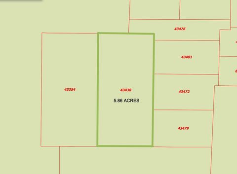 Photo of 0 Eldridge Road, Coldspring, TX 77331 (MLS # 62340736) Photo of 0 Eldridge Road, Coldspring, TX 77331 (MLS # 62340736)