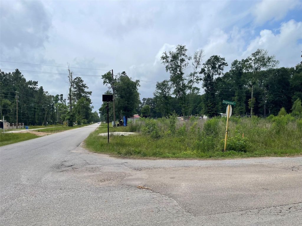 Photo of 21 Galaxy Boulevard, New Caney, TX 77357 (MLS # 96798457)