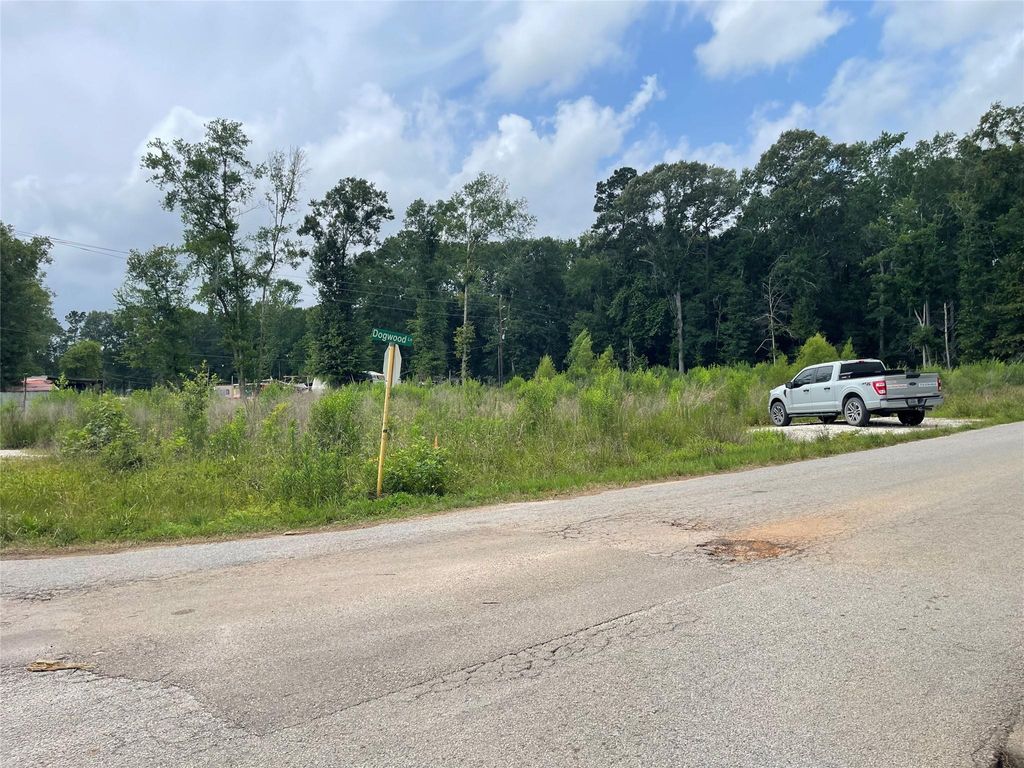 Photo of 21 Galaxy Boulevard, New Caney, TX 77357 (MLS # 96798457)