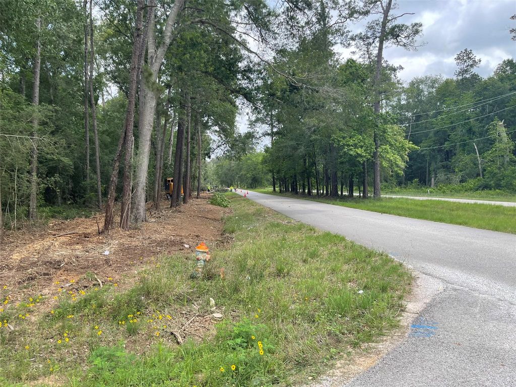 Photo of 21 Galaxy Boulevard, New Caney, TX 77357 (MLS # 96798457)