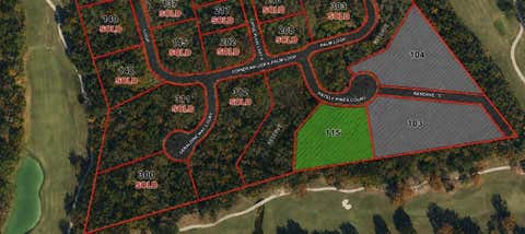 Photo of 115 Chateau Pines Court, Montgomery, TX 77316 (MLS # 51693718)