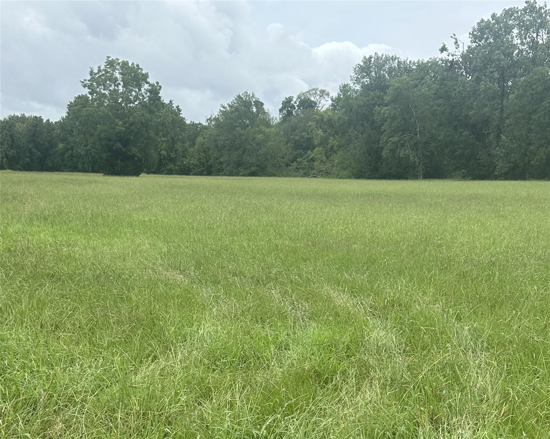 3935 Spring Branch Road