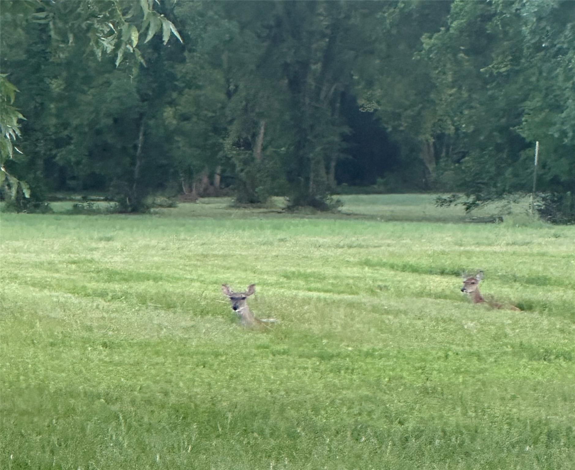 3935 Spring Branch Road