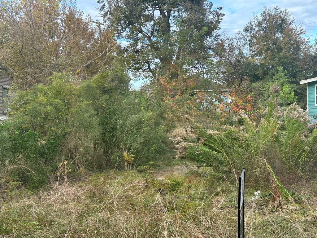 Photo of 6518 Park Avenue, Texas City, TX 77591 (MLS # 3901802)