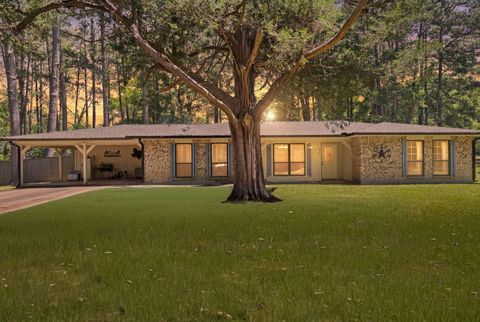 Photo of 920 N Nellius Street, Woodville, TX 75979 (MLS # 76591135)