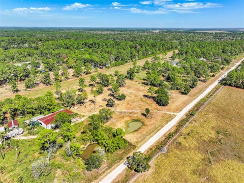 Photo of 131 Narrow Path Road, Liverpool, TX 77577 (MLS # 55203594)