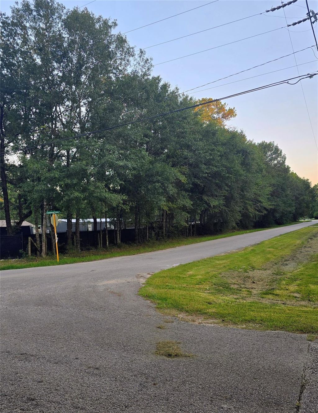 Photo of 19934 Lowe, New Caney, TX 77357 (MLS # 28769760)