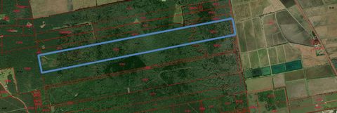 Photo of TBD Garcia Road, Batson, TX 77519 (MLS # 57024390) Photo of TBD Garcia Road, Batson, TX 77519 (MLS # 57024390)