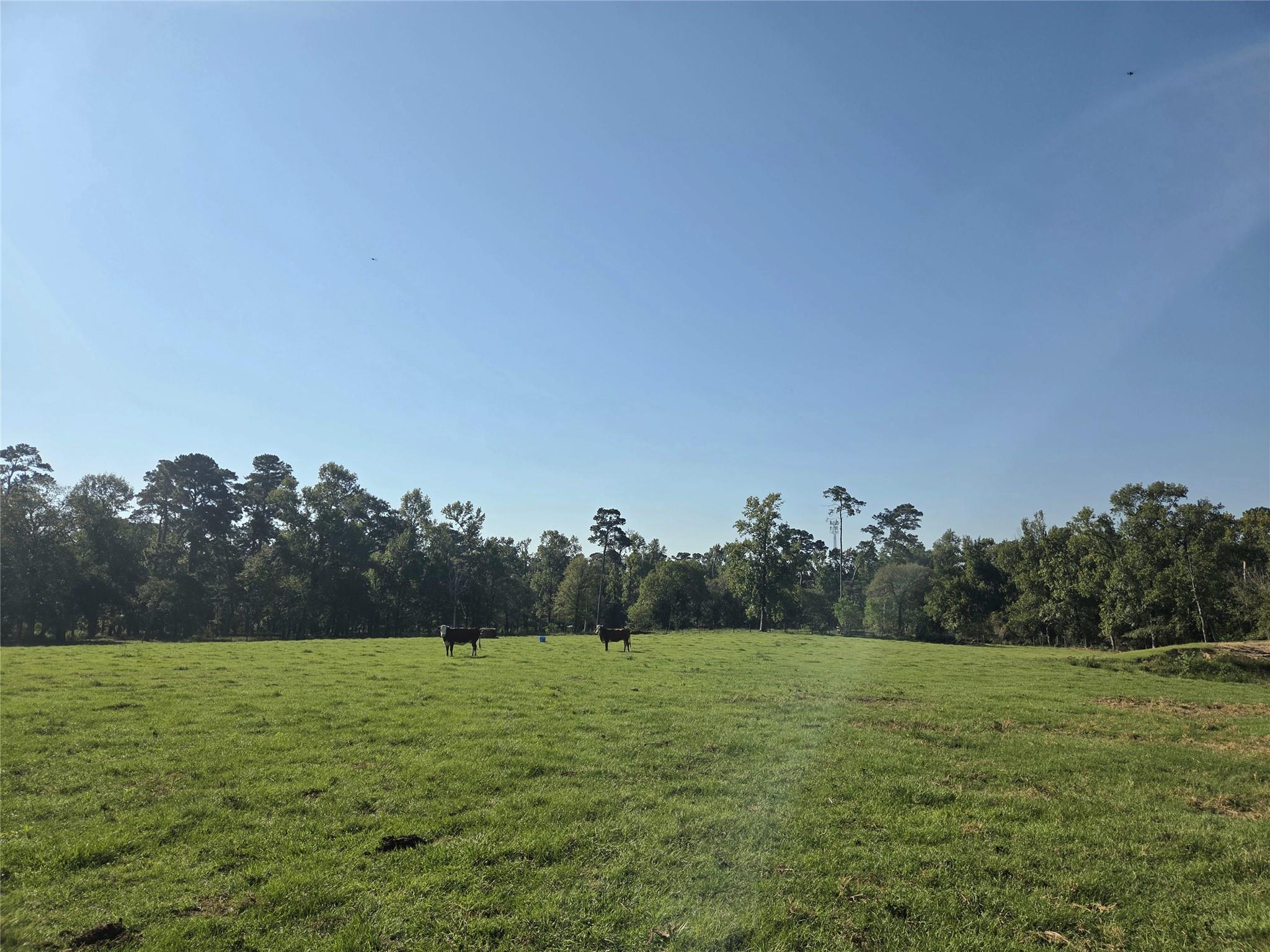 10094 Stidham Road