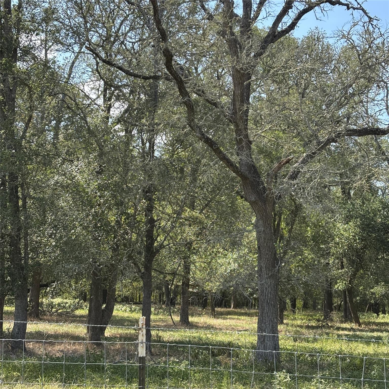 2477 State Highway 159